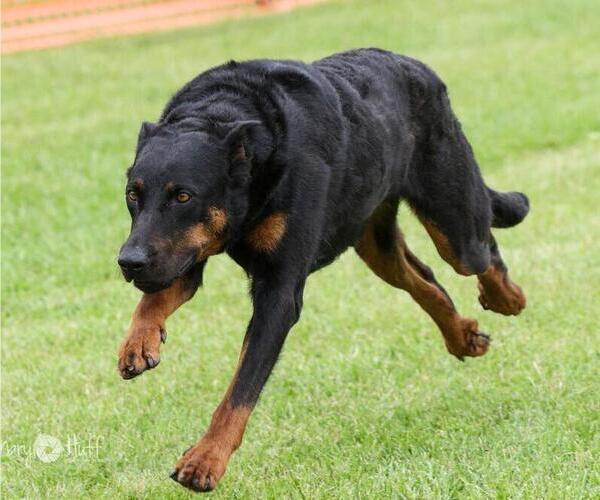 Medium Photo #1  Breeder Profile in FREMONT, WI, USA