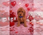 Small #56 Breeder Profile image