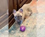 Small #13 Breeder Profile image
