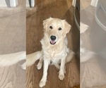 Small #21 Breeder Profile image