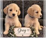Small #25 Breeder Profile image