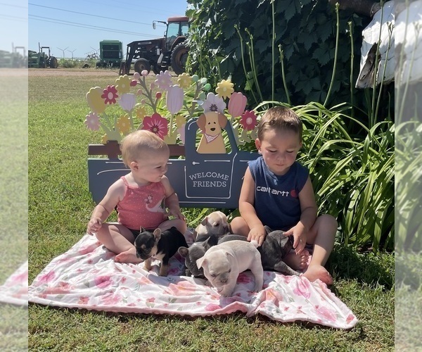 Medium Photo #1  Breeder Profile in MARLOW, OK, USA