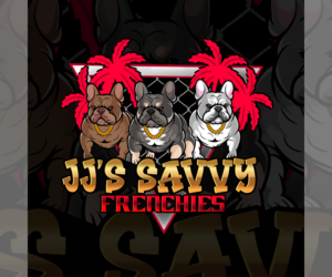 French Bulldog Dog Breeder in WICHITA,  USA