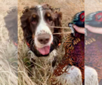 Small #5 Breeder Profile image