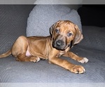 Small #5 Breeder Profile image