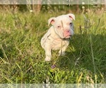 Small #26 Breeder Profile image