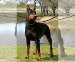 Small #2 Breeder Profile image