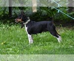Small #2 Breeder Profile image