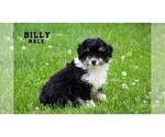 Small #7 Breeder Profile image