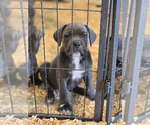 Small #5 Breeder Profile image