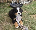 Small #14 Breeder Profile image