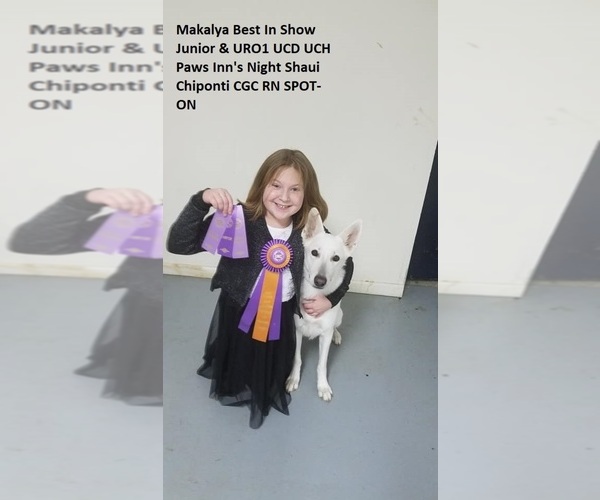 Medium Photo #1  Breeder Profile in CECILIA, KY, USA