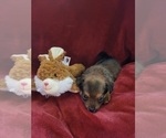 Small #130 Breeder Profile image