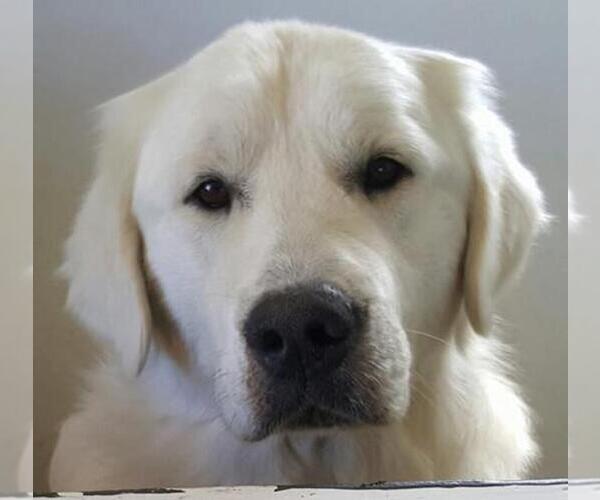 Medium Photo #1  Breeder Profile in AVON, MT, USA