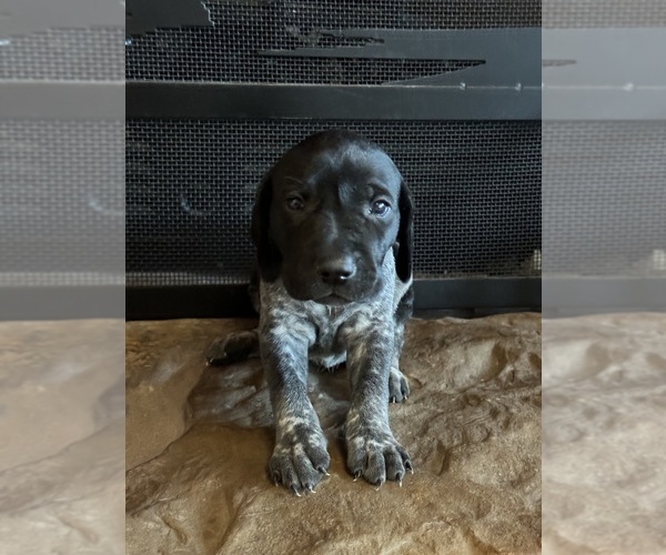 Medium Photo #13  Breeder Profile in BOONVILLE, IN, USA