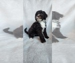 Small #9 Breeder Profile image