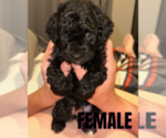 Small #4 Breeder Profile image
