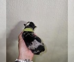 Small #18 Breeder Profile image