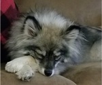 Small #9 Breeder Profile image