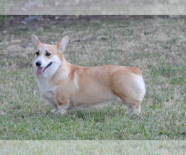 Medium Photo #6  Breeder Profile in EAGLE POINT, OR, USA