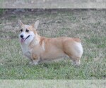 Small #5 Breeder Profile image