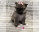 Small #3 Breeder Profile image