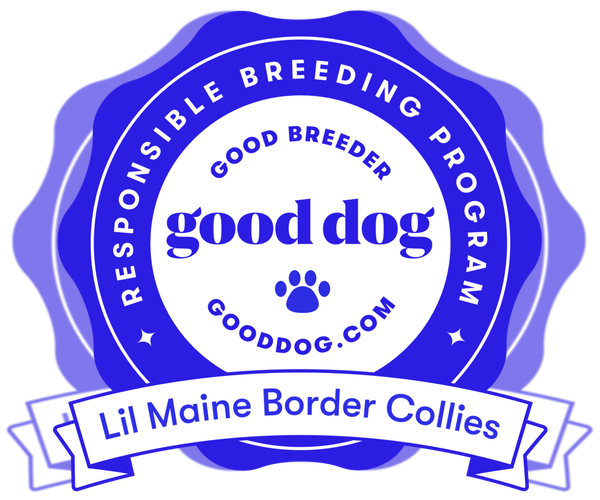 Medium Photo #1  Breeder Profile in RICHMOND, ME, USA