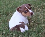 Small #2 Breeder Profile image