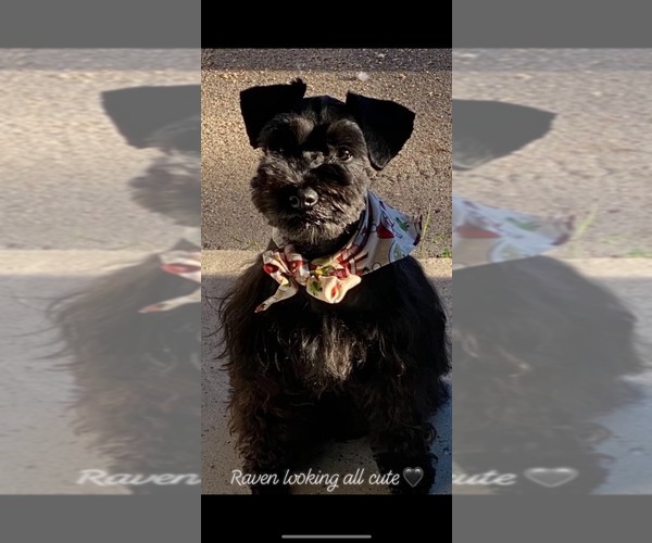 Medium Photo #7  Breeder Profile in PORT LAVACA, TX, USA
