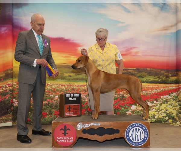Medium Photo #15  Breeder Profile in CALDWELL, TX, USA