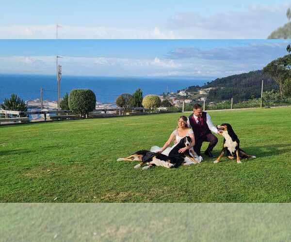 Medium Photo #1  Breeder Profile in A Coruna, Galicia, Spain