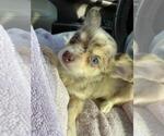 Small #29 Breeder Profile image