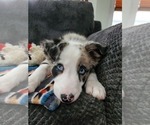 Small #48 Breeder Profile image