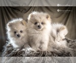 Small #6 Breeder Profile image