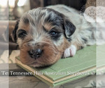 Small #24 Breeder Profile image