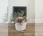 Small #3 Breeder Profile image