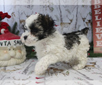 Small #98 Breeder Profile image