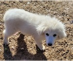 Small #13 Breeder Profile image