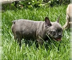 Small #9 Breeder Profile image
