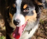 Small #28 Breeder Profile image