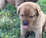 Small #1 Breeder Profile image