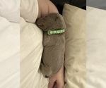 Small #12 Breeder Profile image