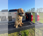 Small #1 Breeder Profile image