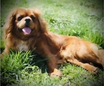 Small #3 Breeder Profile image