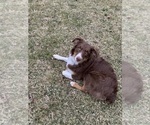 Small #4 Breeder Profile image