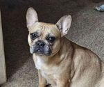 Small #13 Breeder Profile image