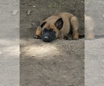 Small #6 Breeder Profile image
