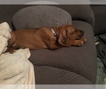 Small #18 Breeder Profile image