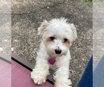 Small #5 Breeder Profile image