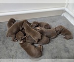 Small #3 Breeder Profile image